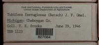 Image Associated With the Occurence